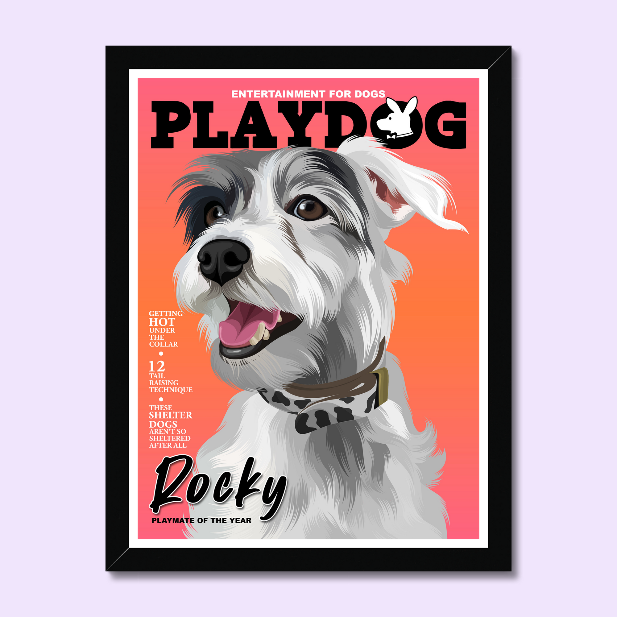 Play Dog: Custom Pet Portrait
