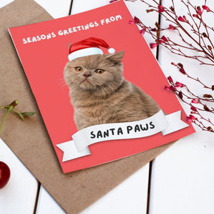 Custom Pet Christmas Cards (Add On) - Paw & Glory - Dog Portraits - Pet Portraits