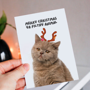 Custom Pet Christmas Cards (Add On) - Paw & Glory - Dog Portraits - Pet Portraits