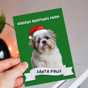 Custom Pet Christmas Cards (Add On) - Paw & Glory - Dog Portraits - Pet Portraits