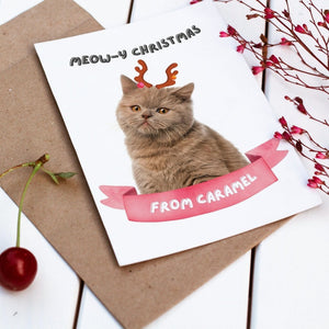 Meowy Christmas Minimalist Cat Greetings Cards - Paw & Glory - Dog Portraits - Pet Portraits