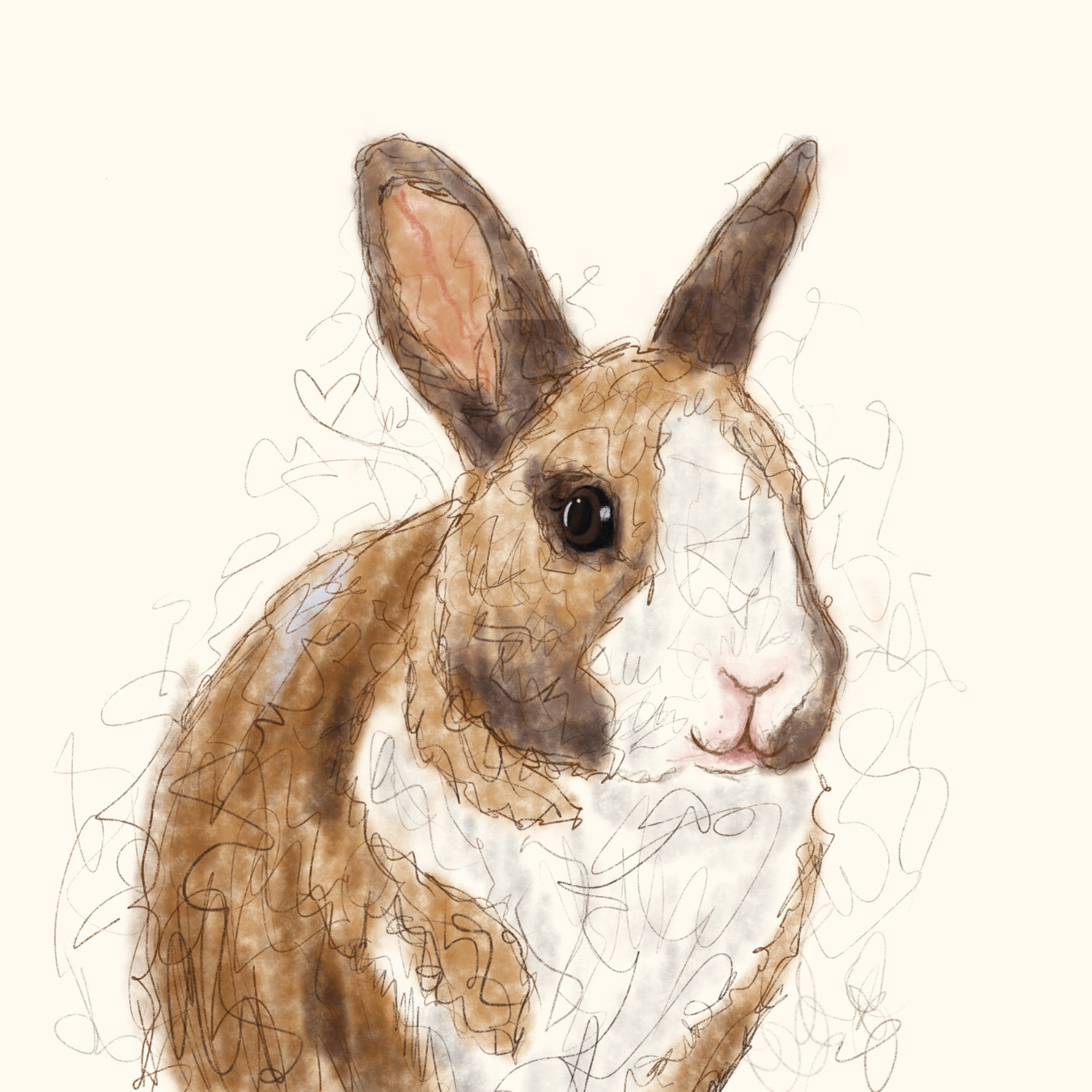 Paw & Glory, paw and glory, drawing pictures of pets, louvenir pet portrait, admiral pet portrait, admiral dog portrait, pictures for pets, dog portraits admiral, pet portrait