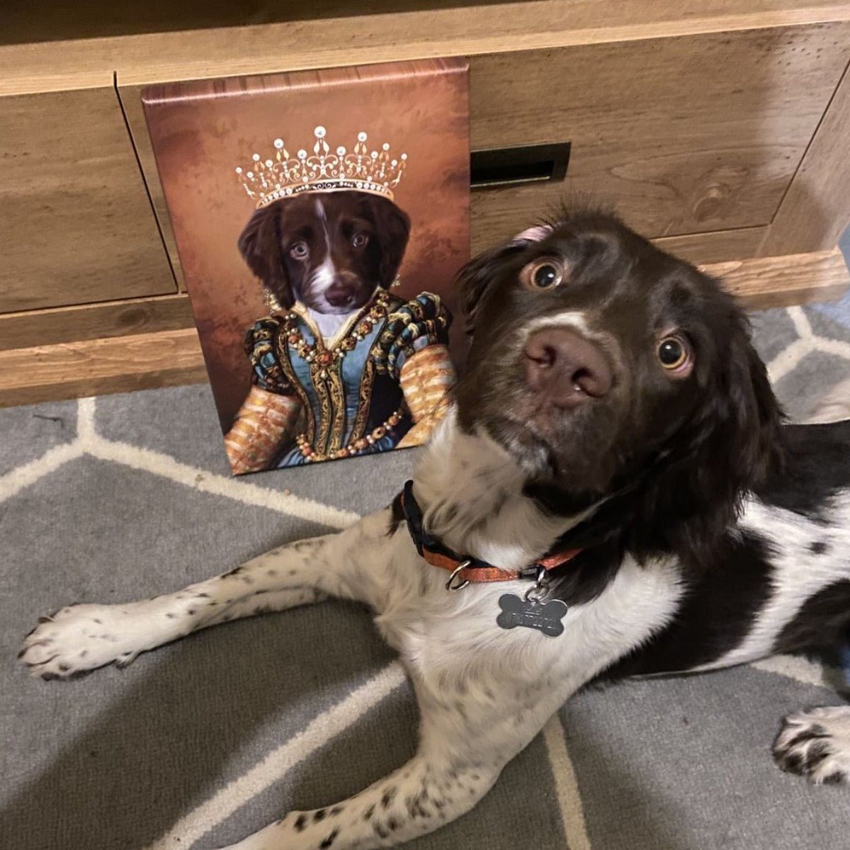 Standard Gift Set (Costume Themes) - Paw & Glory - Dog Portraits - Pet Portraits
