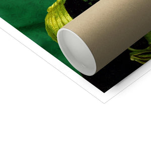 The General Irish Flag Edition: Custom Pet Poster - Paw & Glory - Dog Portraits - Pet Portraits