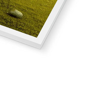 The Trio (Bridgerton Inspired): Custom Pet Portrait - Paw & Glory - Dog Portraits - Pet Portraits