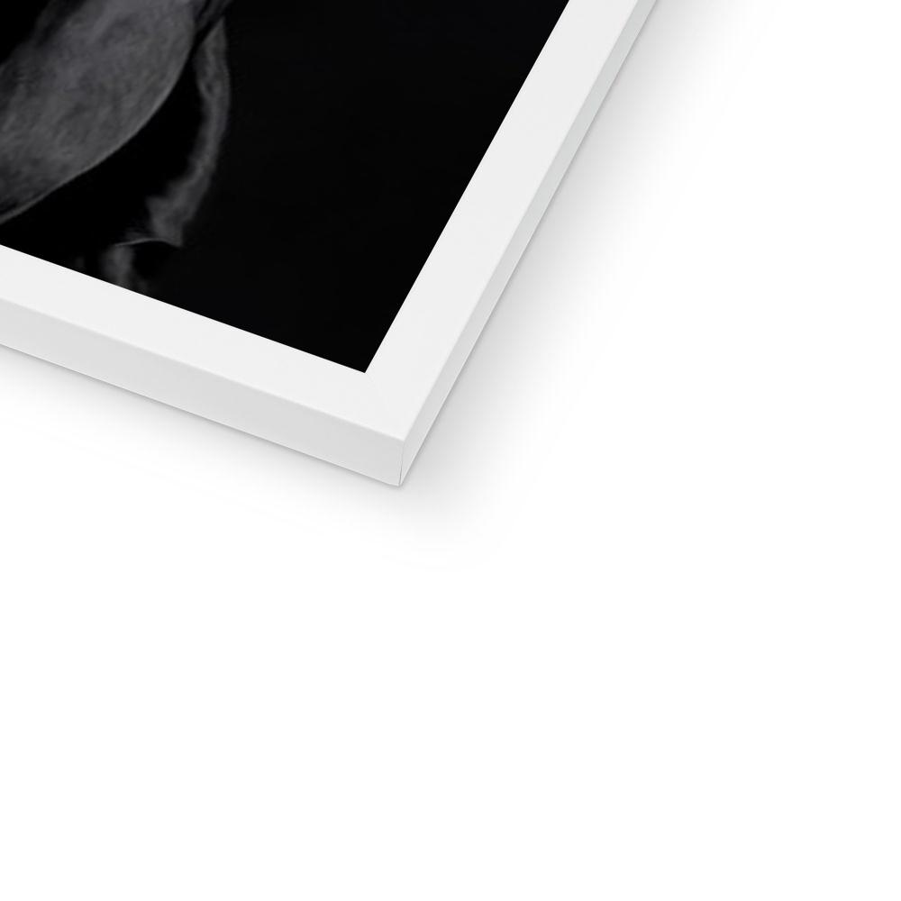The Vampire: Custom Pet Portrait - Paw & Glory - Dog Portraits - Pet Portraits