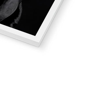 The Vampire: Custom Pet Portrait - Paw & Glory - Dog Portraits - Pet Portraits