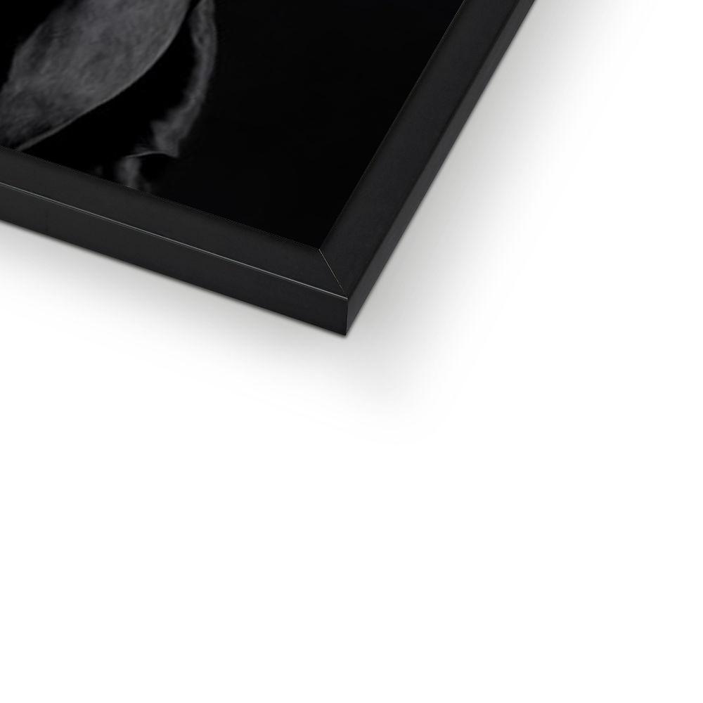 The Vampire: Custom Pet Portrait - Paw & Glory - Dog Portraits - Pet Portraits