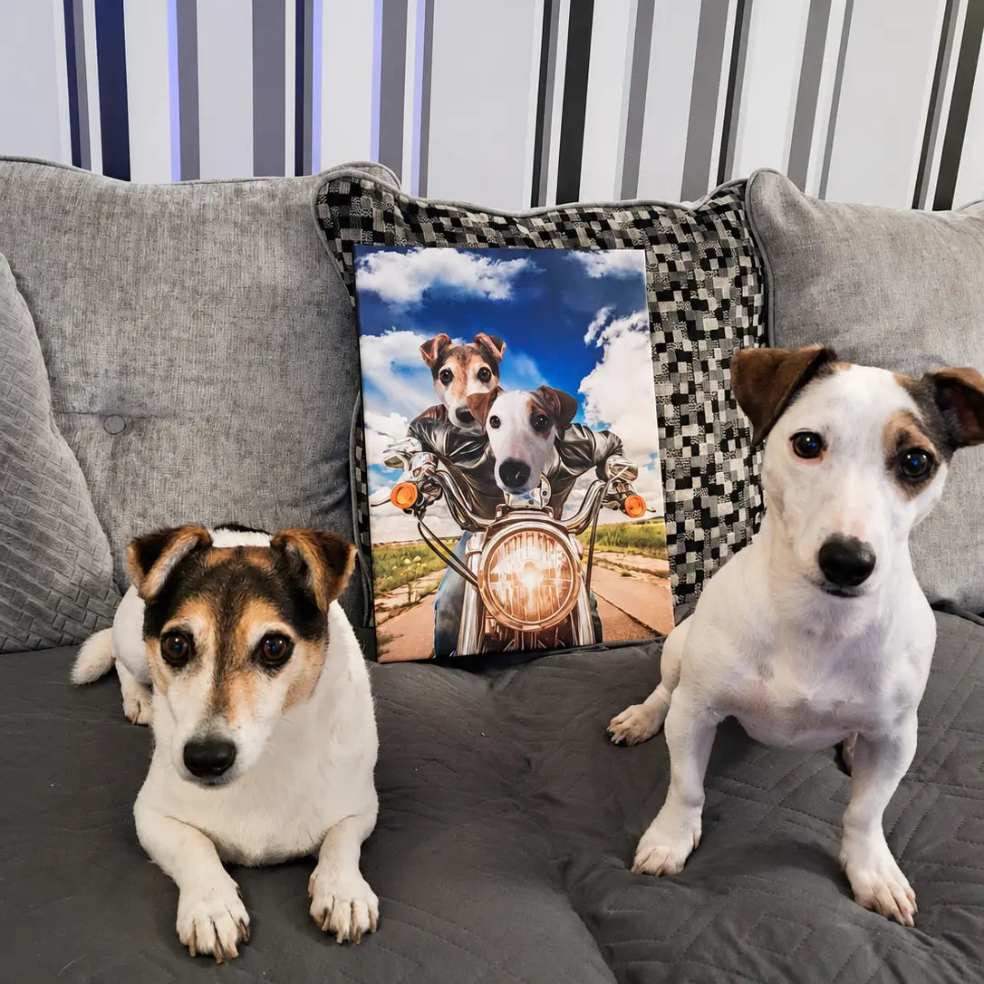 Two small dogs sitting on a gray quilted couch next to a decorative throw pillow featuring a custom pet portrait of two dogs on a motorcycle.