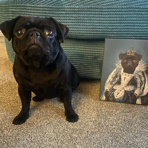 Dulux Gift Set - Paw & Glory - #pet portraits# - #dog portraits# - #pet portraits uk#dog portrait paintings, pet portraits from photos, pet portraits painted, custom dog paintings, pet photos on canvas, Pet portraits, Purrandmutt, hattieandhugo