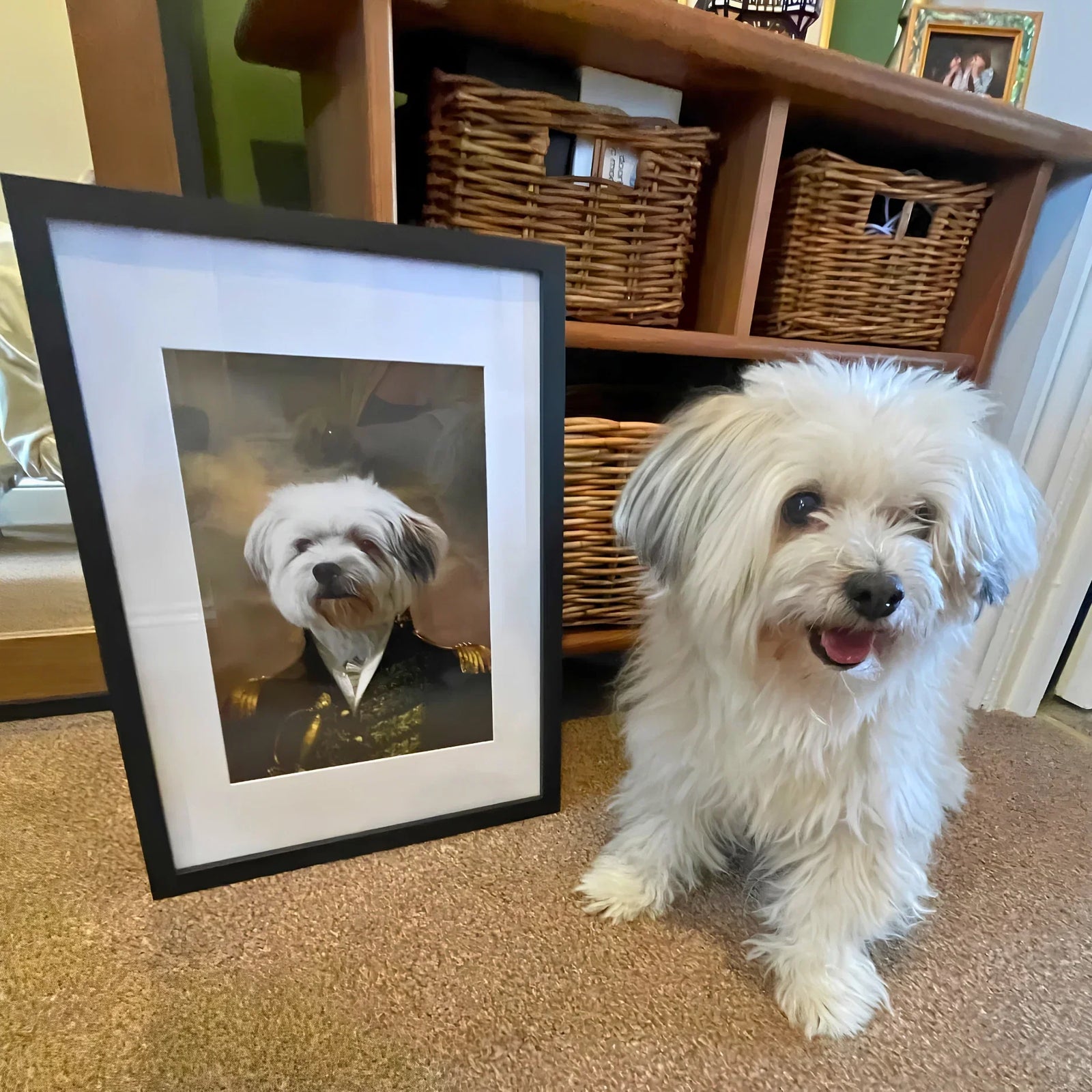 Can You Use a Screenshot or WhatsApp Photo for a Custom Pet Portrait?