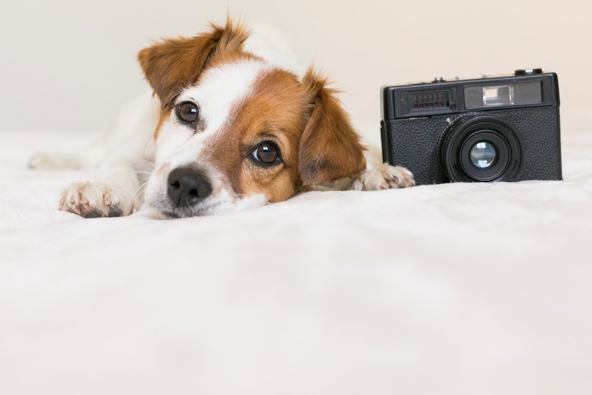 5 Great ways to get that perfect portrait shot