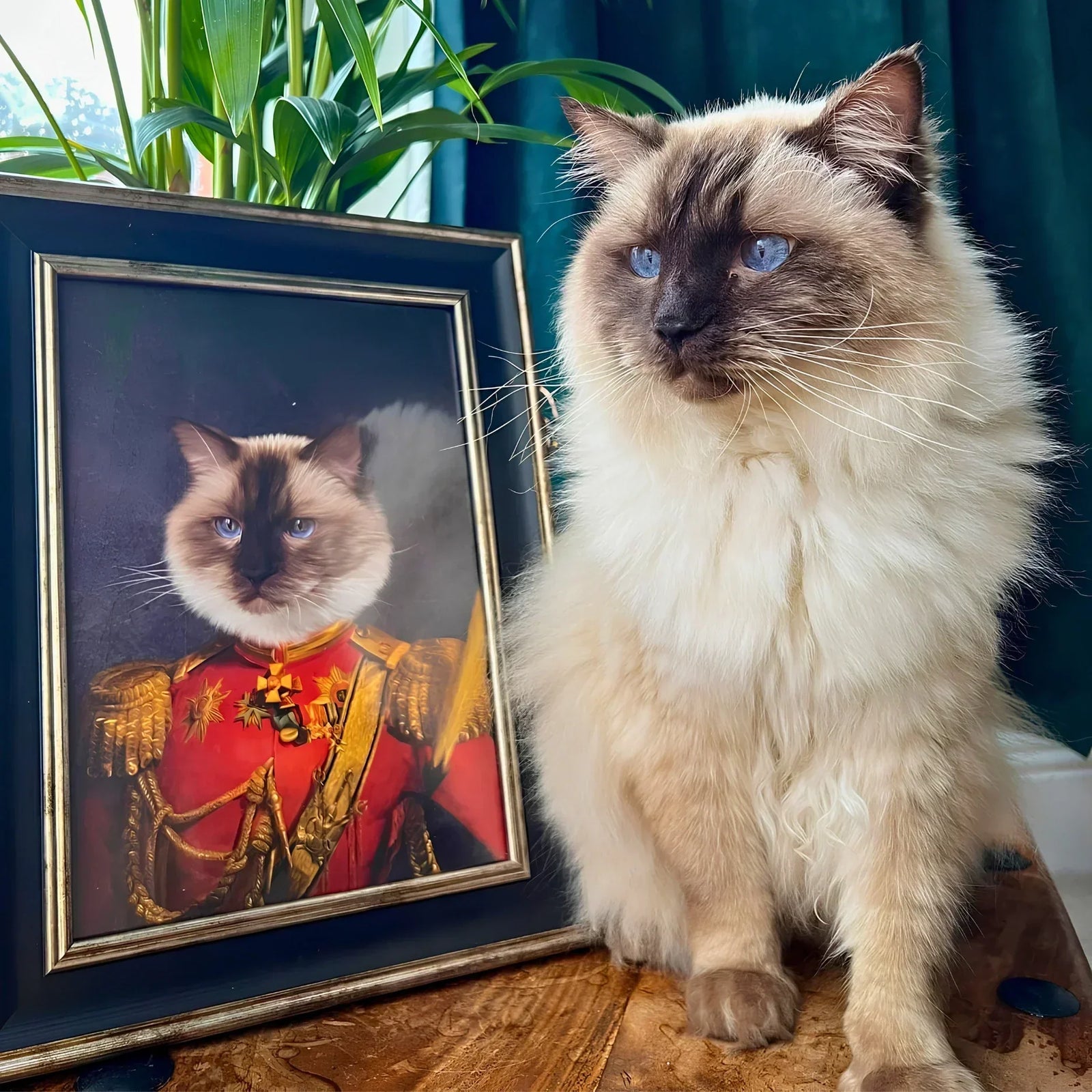 Pet Portrait Canvas UK: How to Choose a Custom Canvas From a Photo