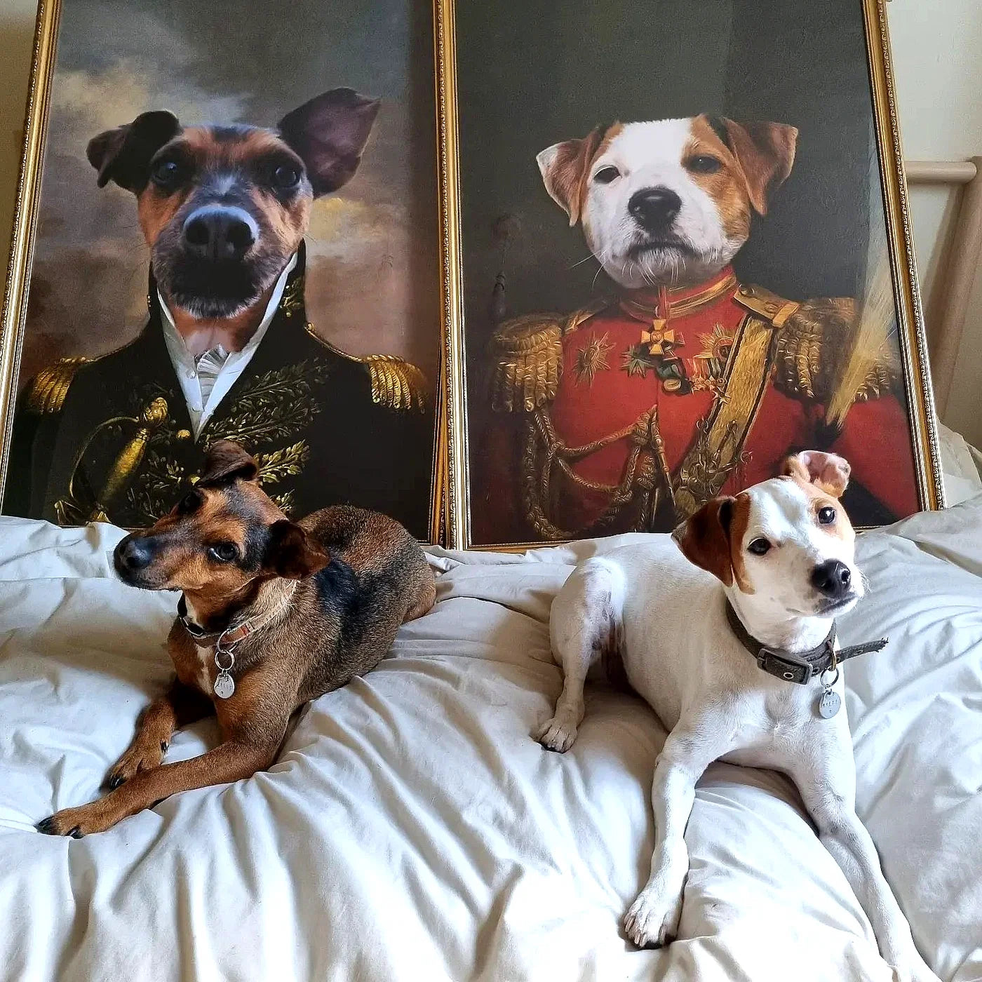 AI Pet Portrait vs Custom Pet Portrait: What’s the Difference?