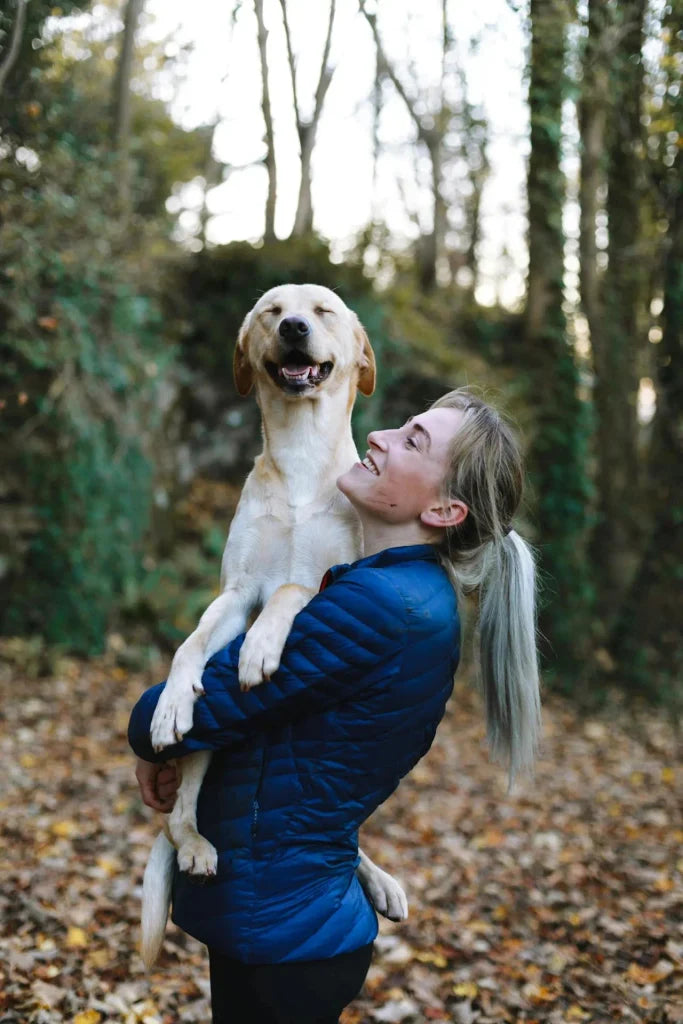 Cute or Spooky Halloween Dog Portrait? How to Choose the Style