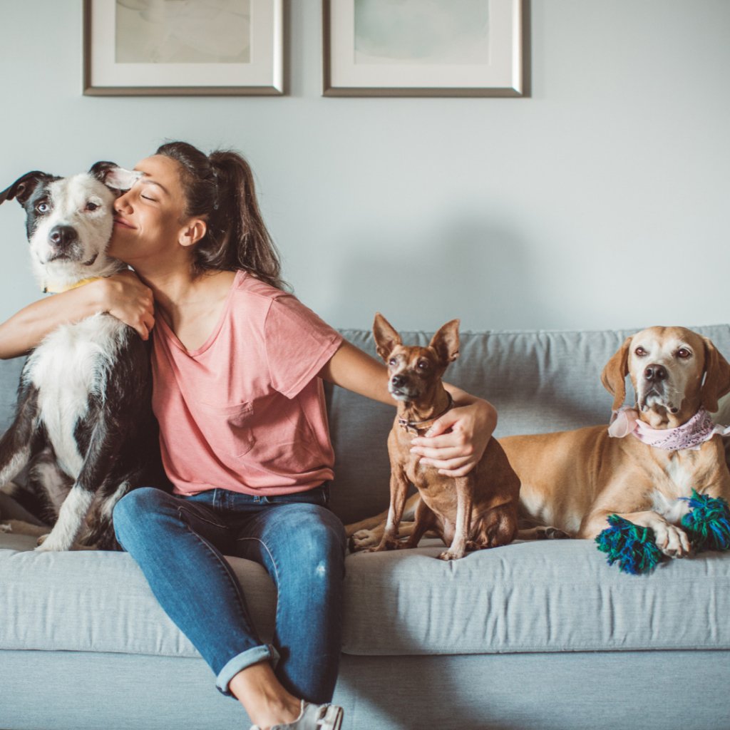 Add a Personal Touch to Your Morning Routine with Custom Mugs - Paw & Glory