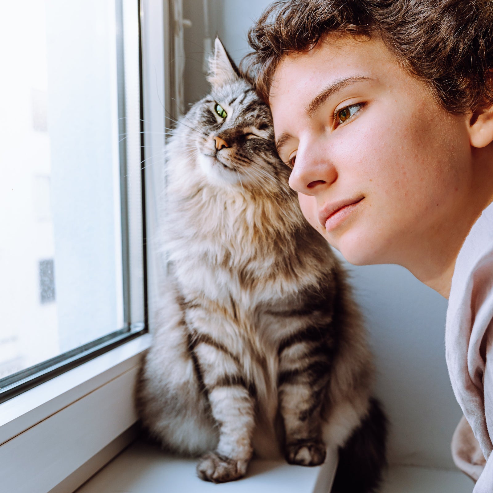Thanksgiving Gifts for Cat Moms USA: Personalized Ideas From Her Favorite Cat