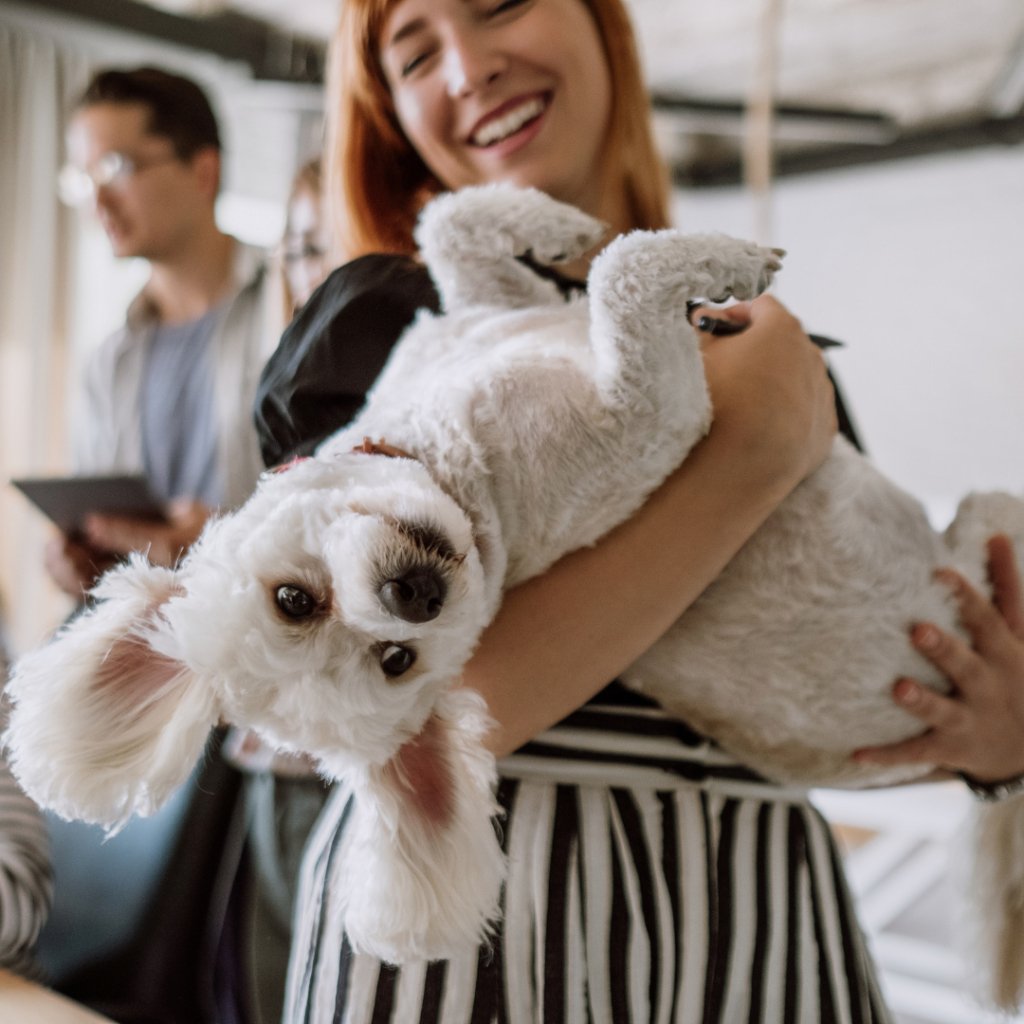 Celebrating a Dog Lover's Birthday in Style!