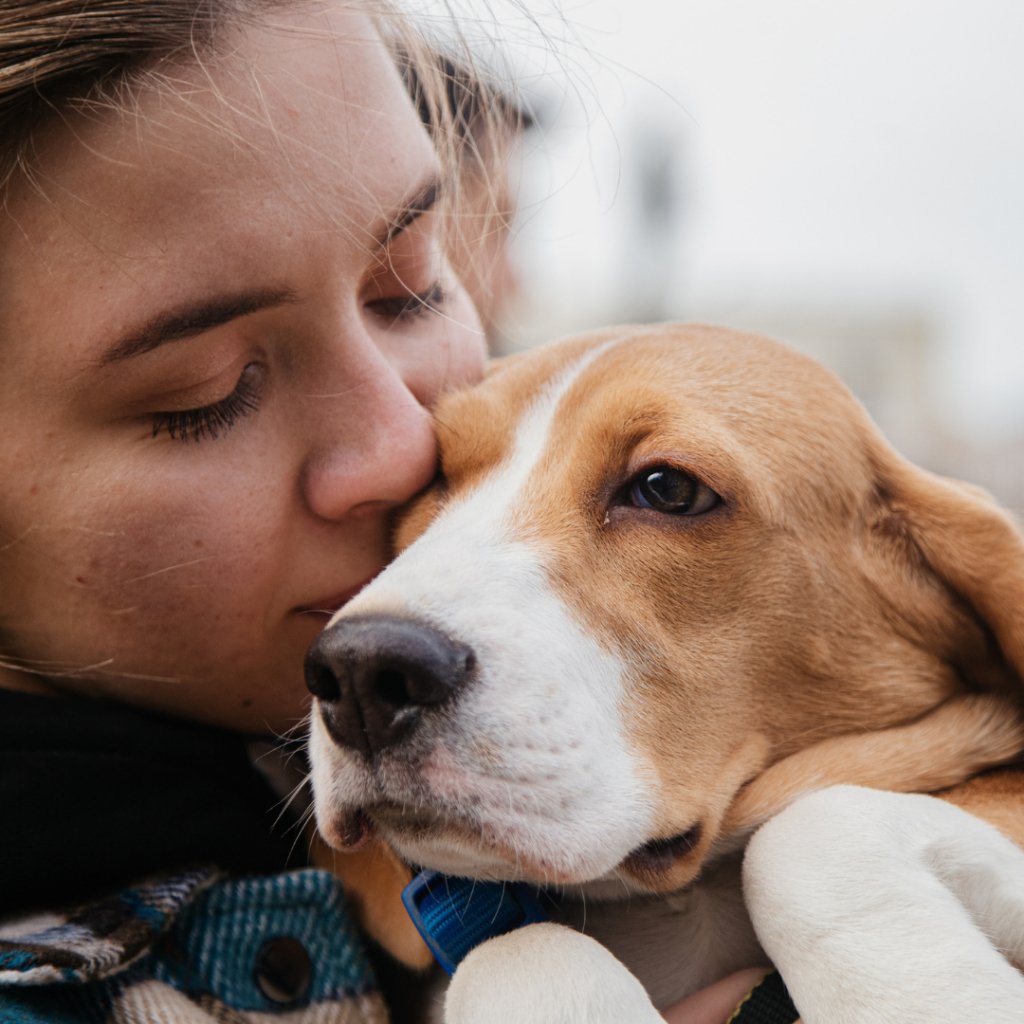 Celebrating Your Furry Friend's Special Day