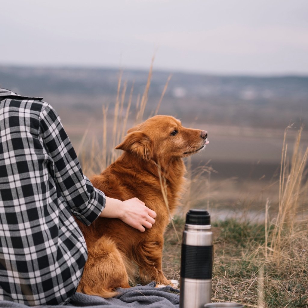 Custom-made pet portraits