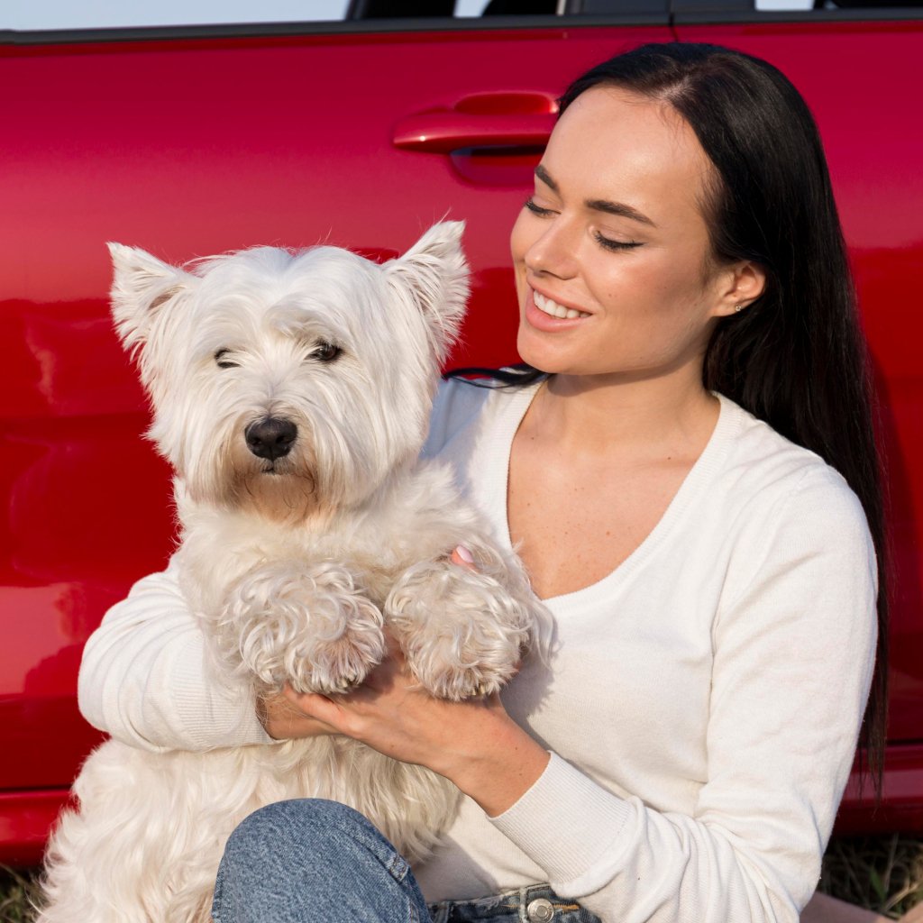 How to Style a Personalised Pet Blanket on a Sofa or Bed