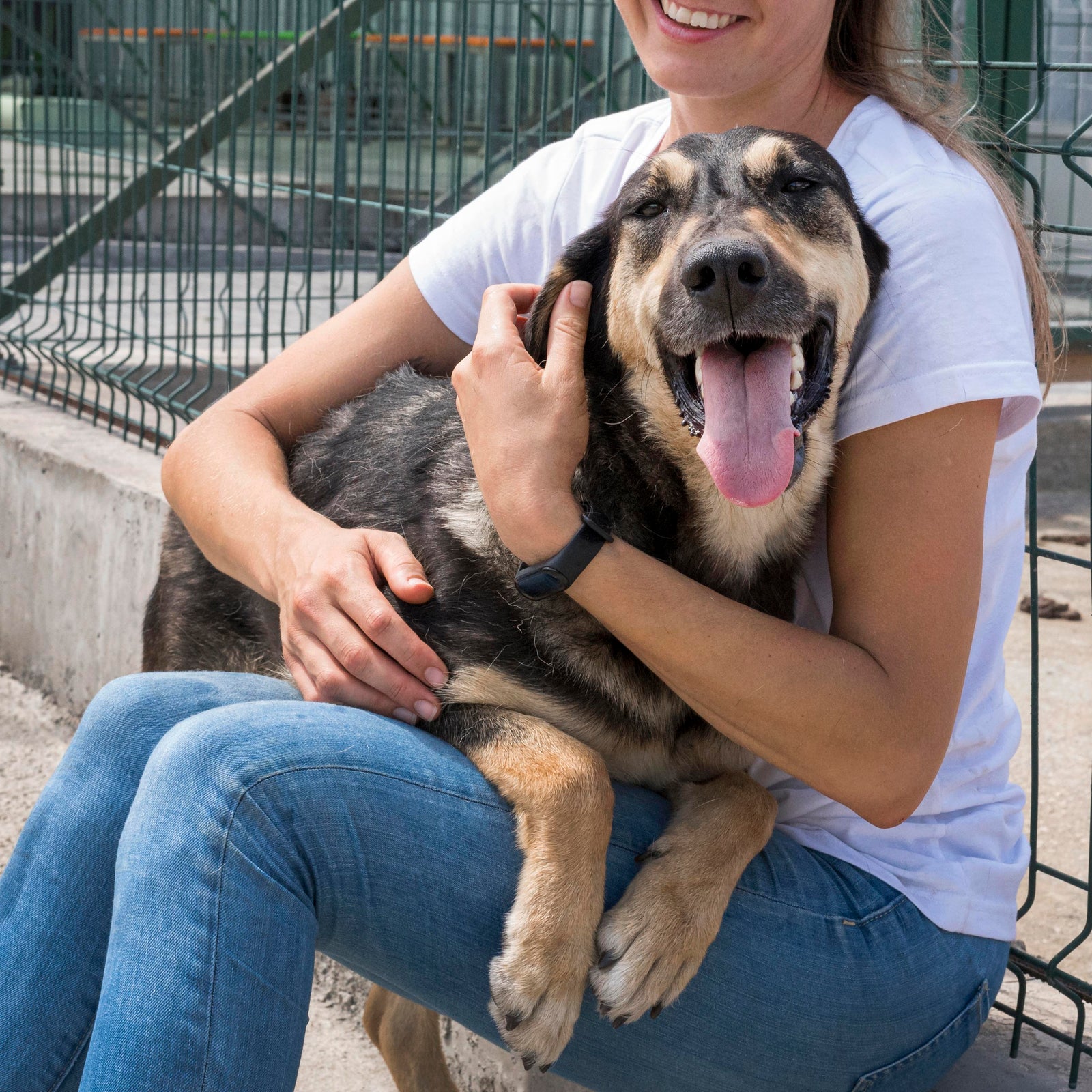 Pet Memorial Gift for a Friend: What to Give After Pet Loss