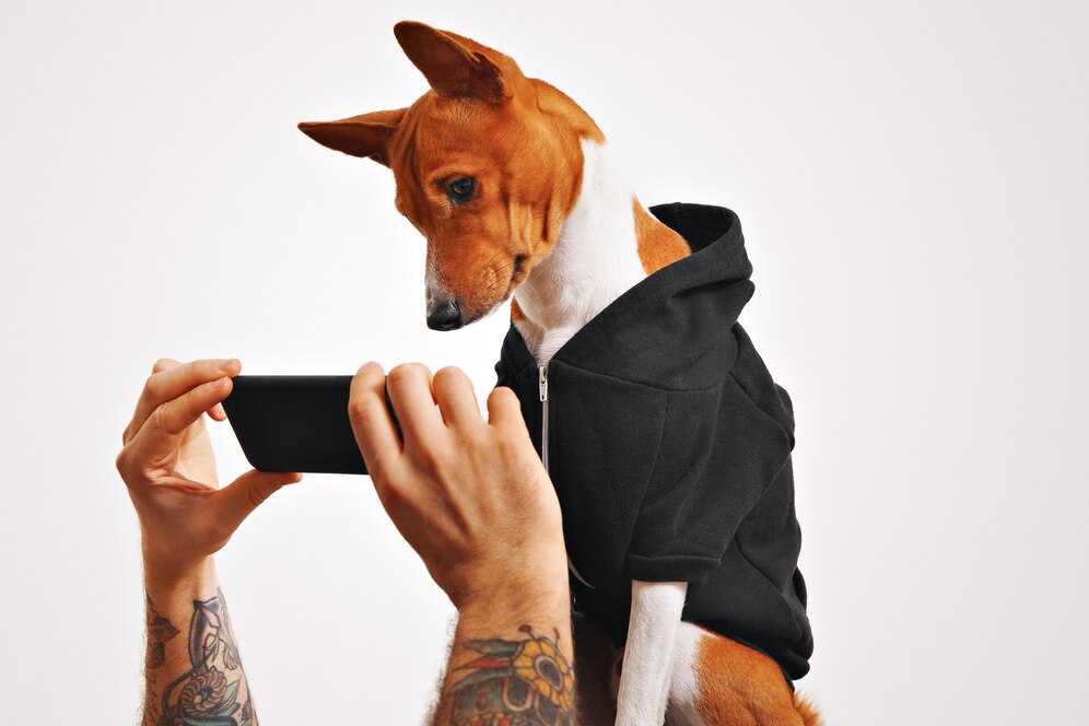 Can You Make a Pet Portrait From an iPhone Live Photo? USA Guide