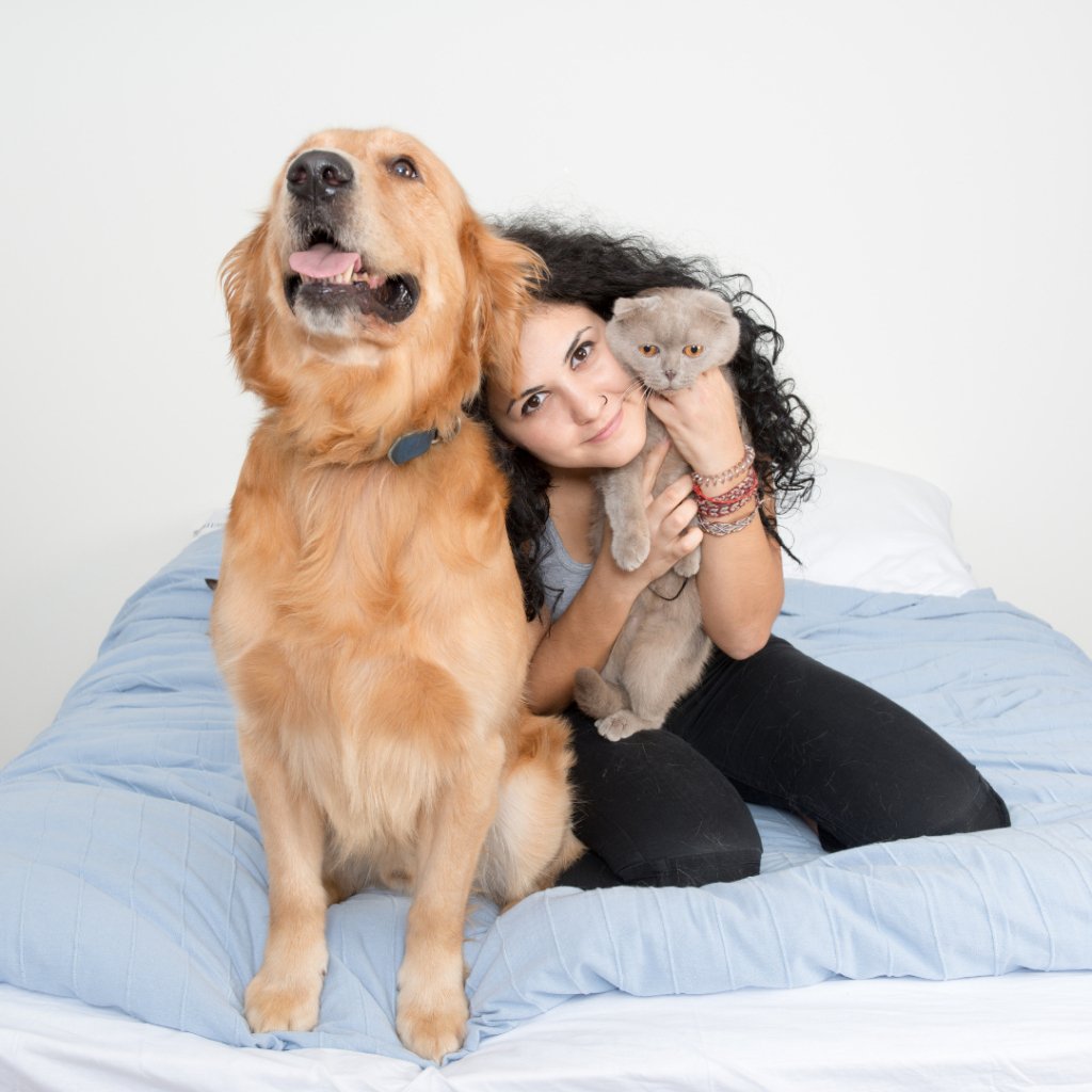 Decoding Your Dog's Love Language