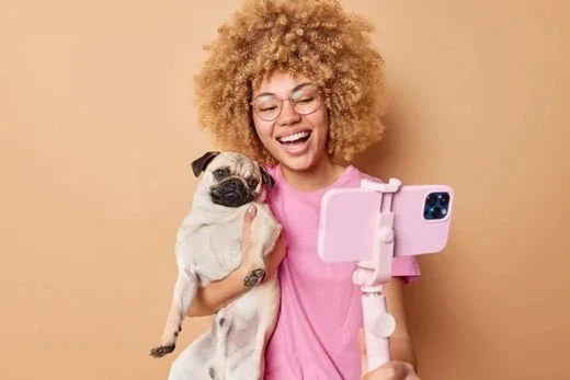How to Take Better Dog Photos With Your iPhone