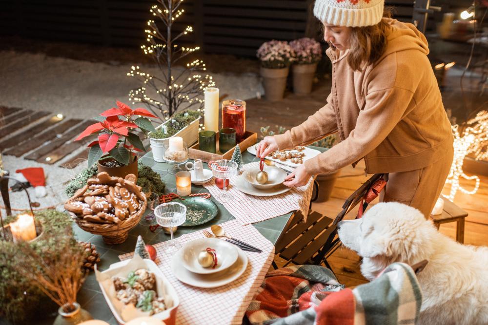Dog’s Christmas Dinner