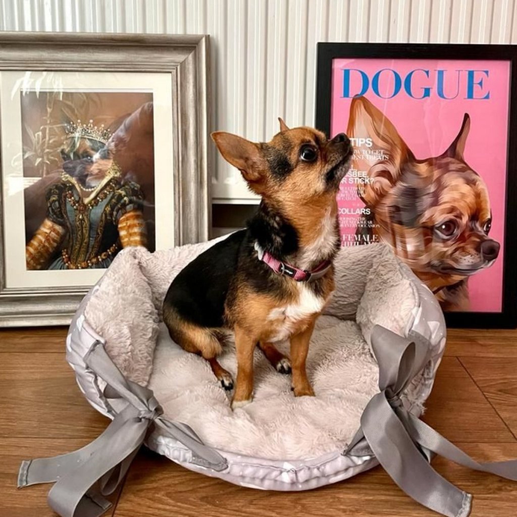 Stocking Stuffers for Dog Moms USA: Personalized Small Gifts That Feel Thoughtful