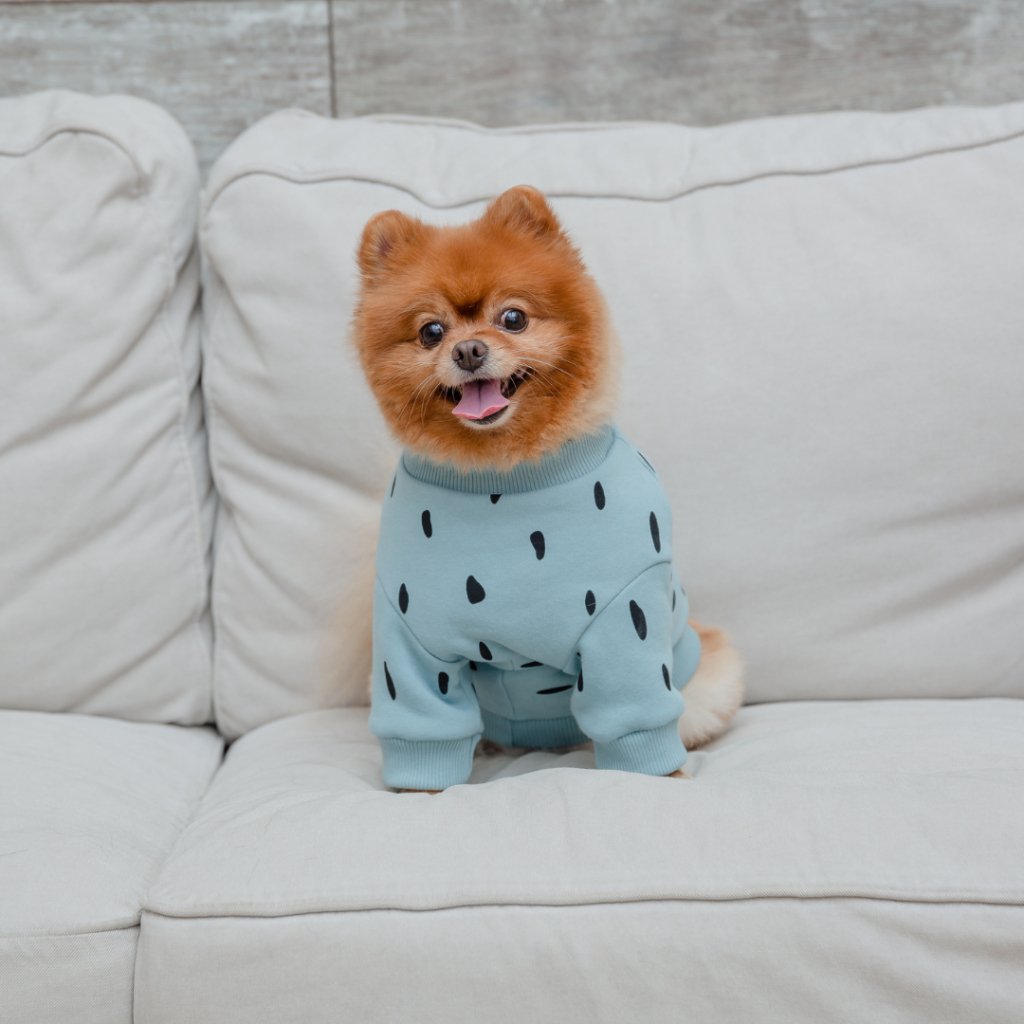 Embrace Unconditional Love: The Enchanting World of Custom Pet Pillows