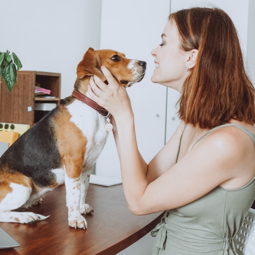 Enhancing Your Home with Pet Art: 5 Perfect Places to Showcase Your Furry Friend's Portrait