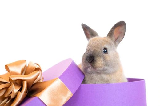 Entertaining & Fun Gifts You Really Should Consider