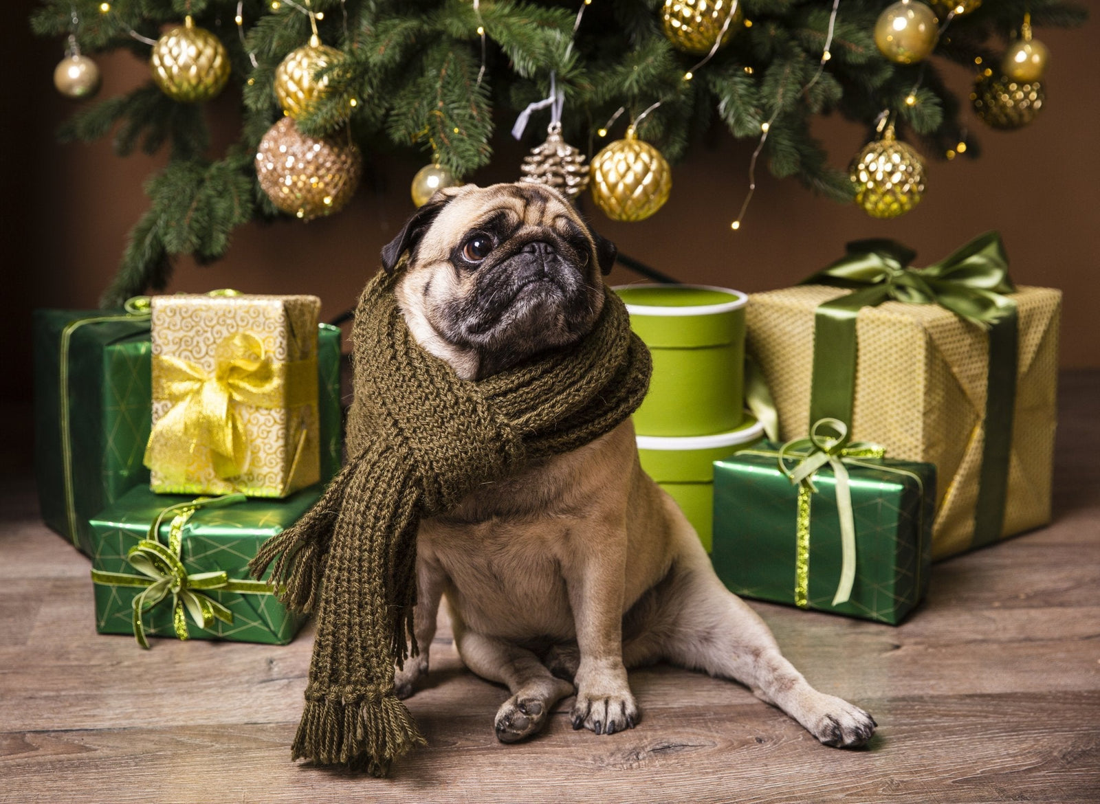 Gifts for New Dog Owners UK: 9 Personalised Ideas