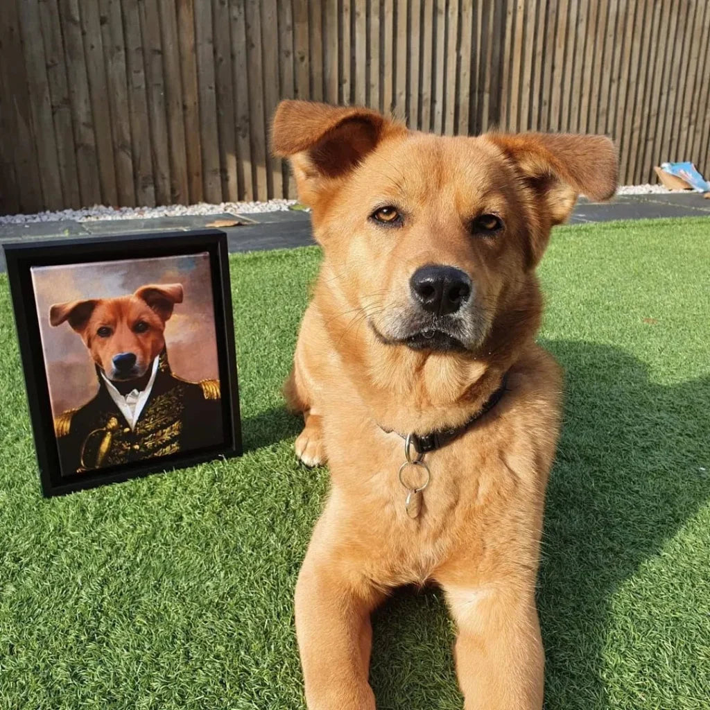 Is a Custom Pet Portrait Worth It? 8 Things to Consider Before You Buy