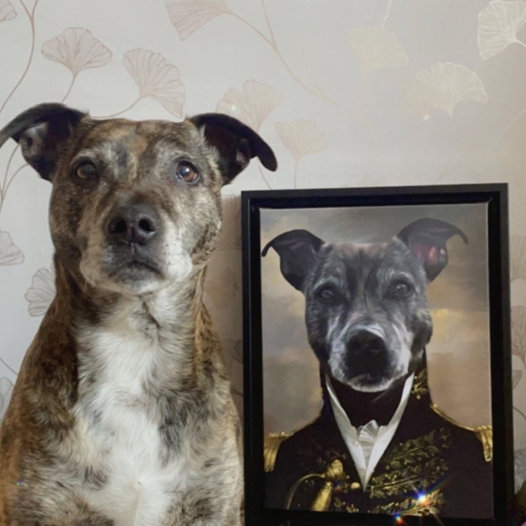 How to Order Renaissance Pet Portraits?