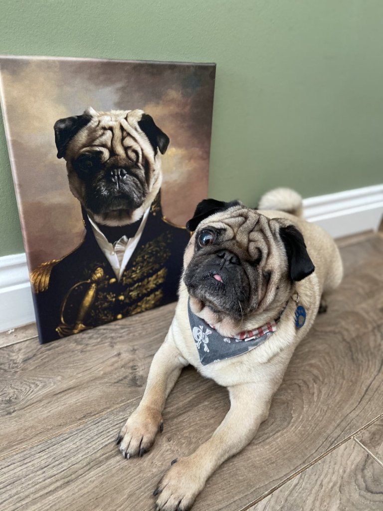 Ideal Pet Portraits for you to display