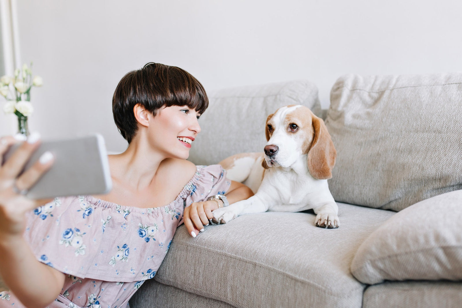 Can You Make a Pet Portrait From a Screenshot? USA Photo Quality Guide