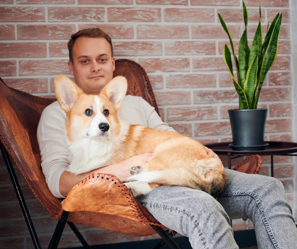 Keep a fun memory of your pet with funny Pet Portraits