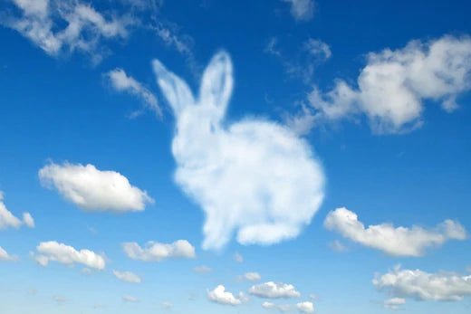 Memorial Gifts for the Loss of Your Beloved Furbaby 