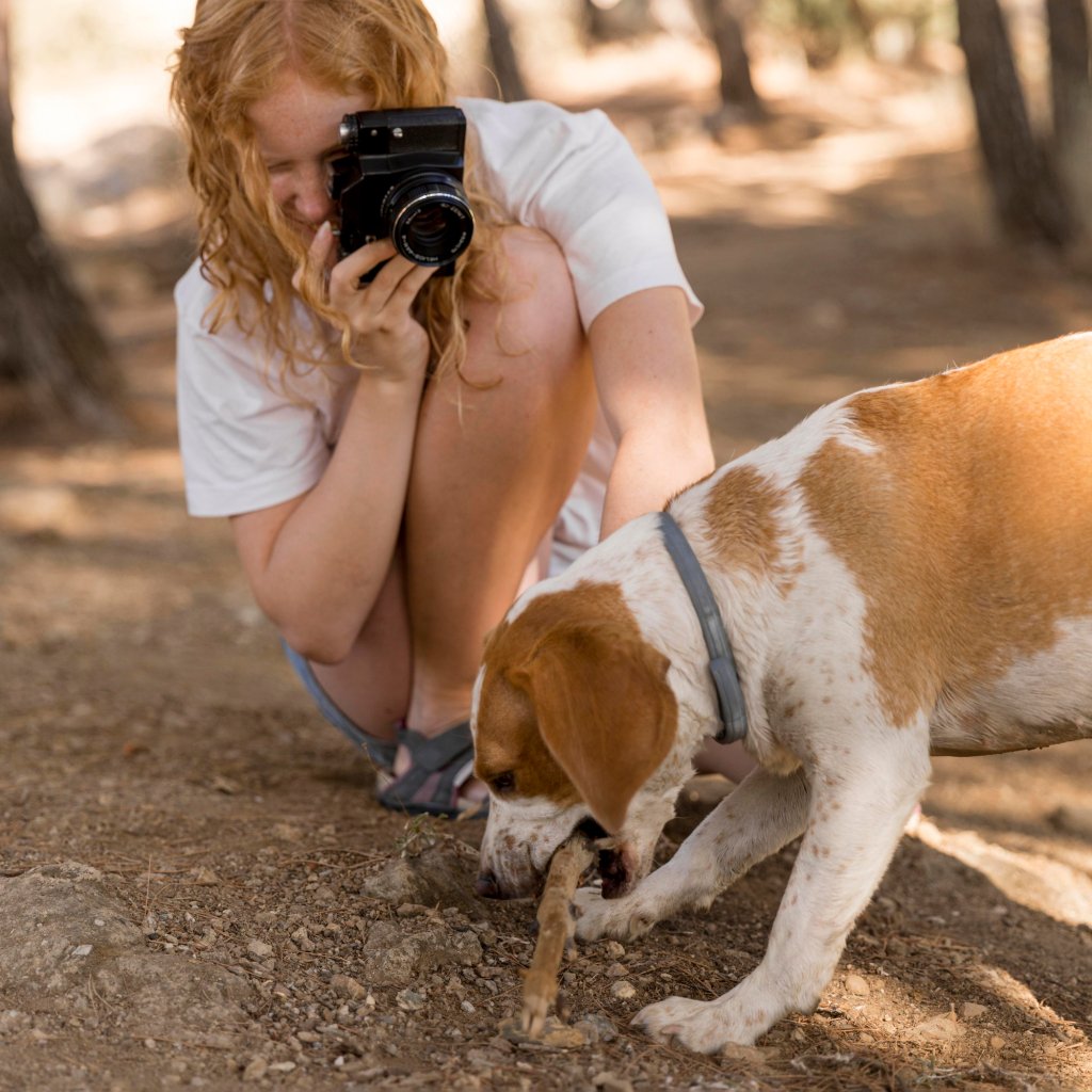 Order pet portraits phone case now!