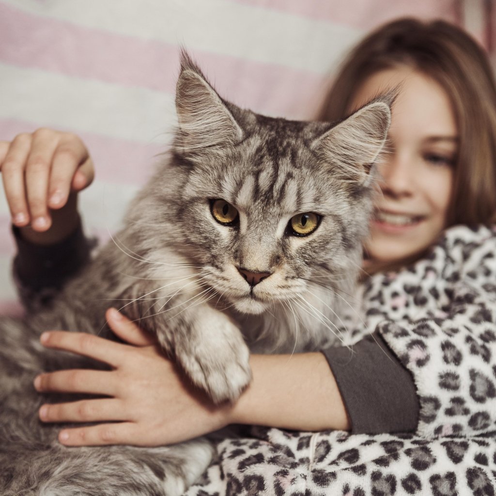 From Pet Photo to Personalised Mug: A Simple Design Checklist