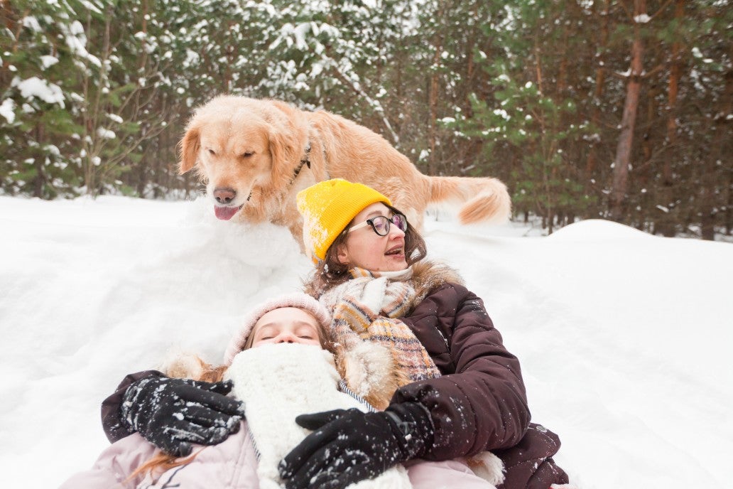 Pawfect Gifts For The Dog Mum In Your Life!