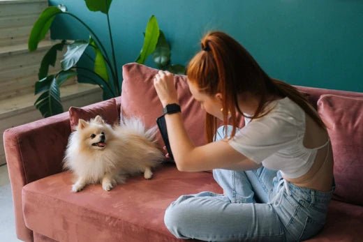 Personalised Portraits for Pet Enthusiasts 