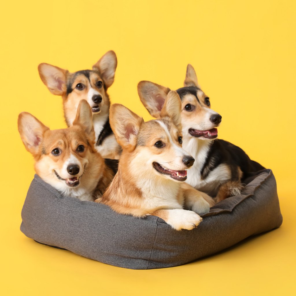 Personalized Housewarming Gifts: Adding a Personal Touch to Home