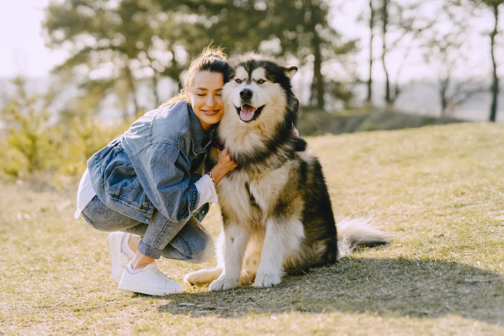 Pet Portrait Styles Explained: Finding the Perfect Custom Dog Portrait for Your Taste