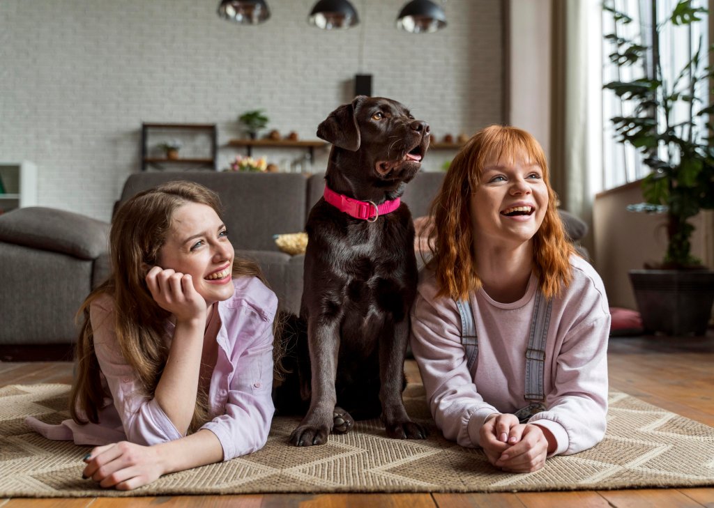 Pet Portraits, a perfect decoration for you home