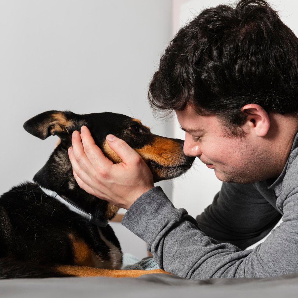 Pet Portraits are the purr-fect anniversary presents