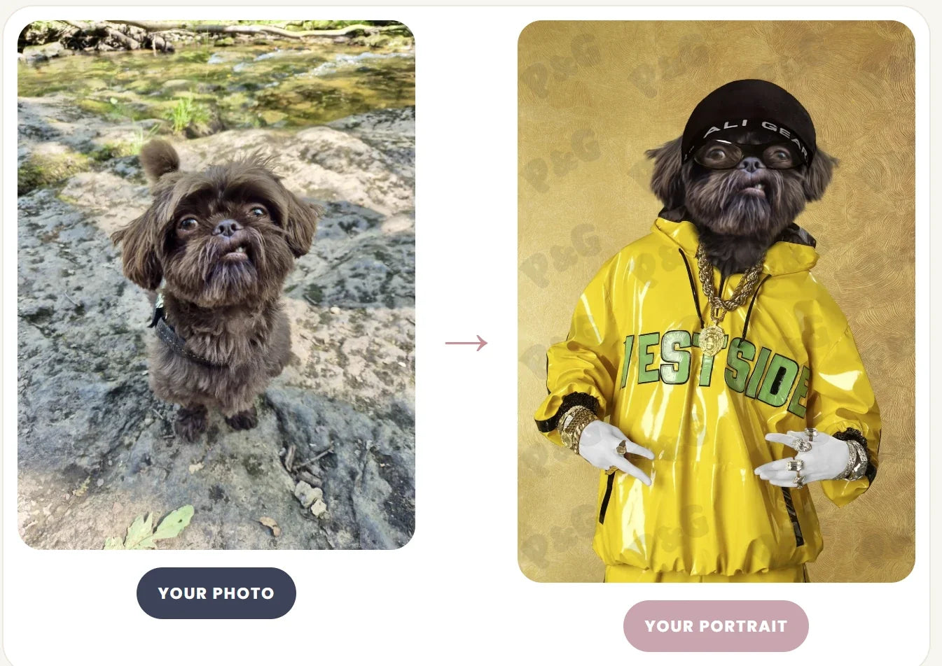 Custom Pet Portrait FAQs: 25 Questions Answered Before You Order